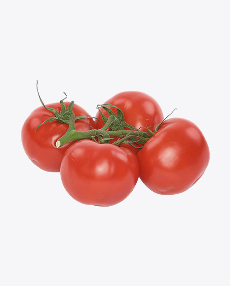 Tomatoes on Branch - Pomodoro
