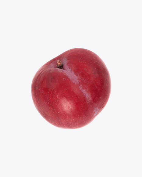 Red Plum - Wax