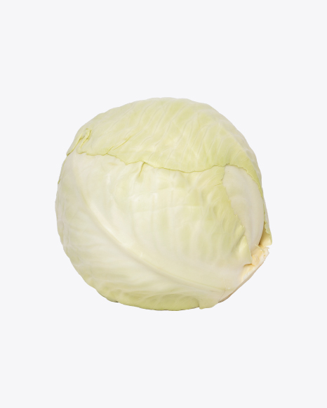 Cabbage - Cabbage
