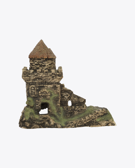 Fish Castle - House
