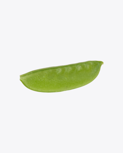 Snow Pea - Seed pod