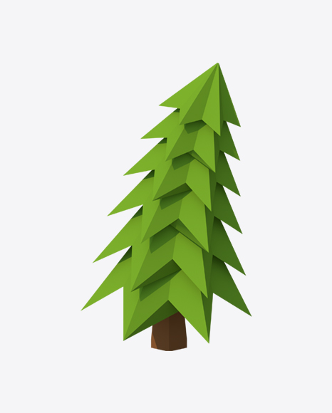 Low Poly Fir - Botanic