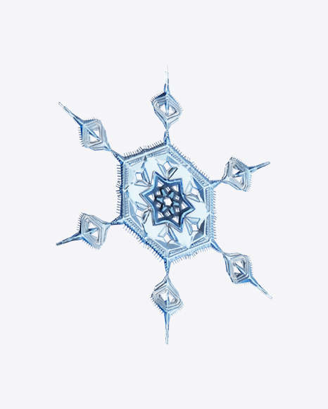 Snowflake - Ornament