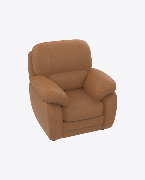Brown Leather Armchair - Interior