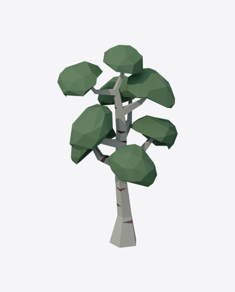 Low Poly Birch Tree - Botanic