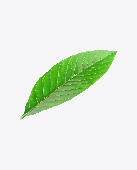 Citrus Leaf - Flavor