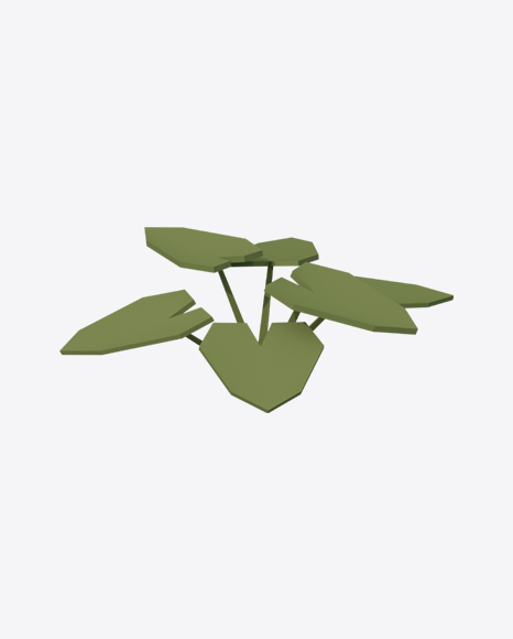 Low Poly Fern - Botanic