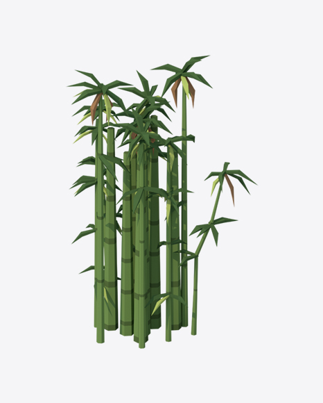 Low Poly Bamboo - Branch