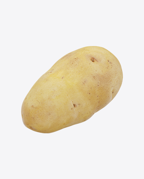 Potato - Potato