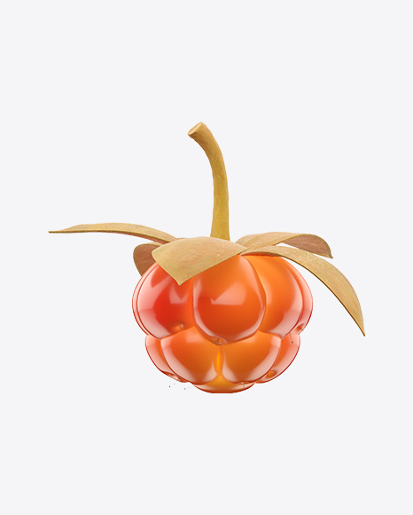 Cloudberry - Wild
