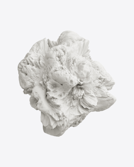 Abstract Form - Polymorph