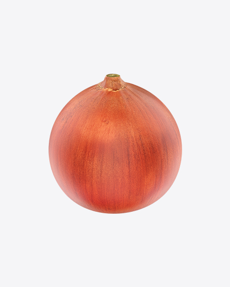 Onion - Bulb