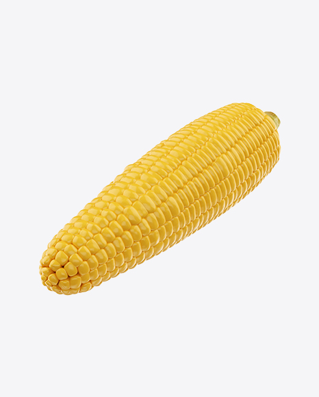 Ear of Corn - Cobs