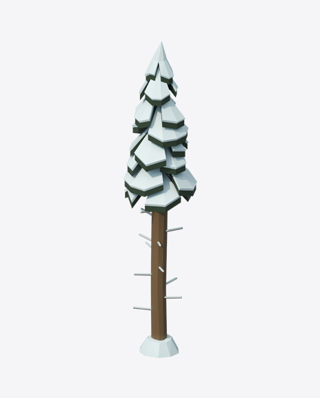 Low Poly Snow Covered Tall Fir - Botanic