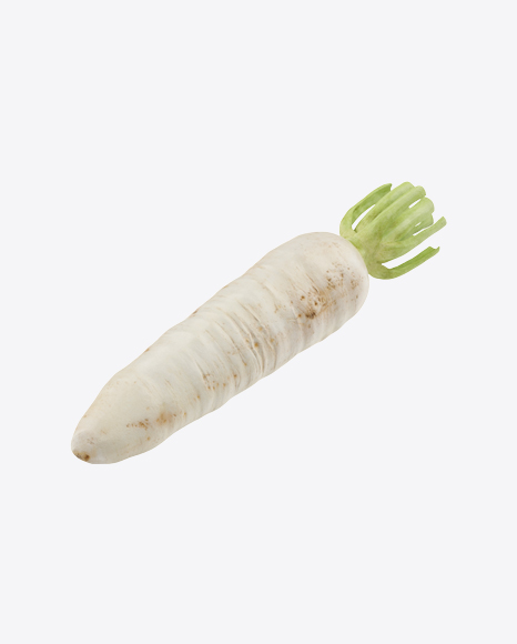 Daikon - Radish