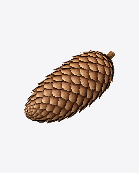 Spruce Pine Cone - Christmas tree