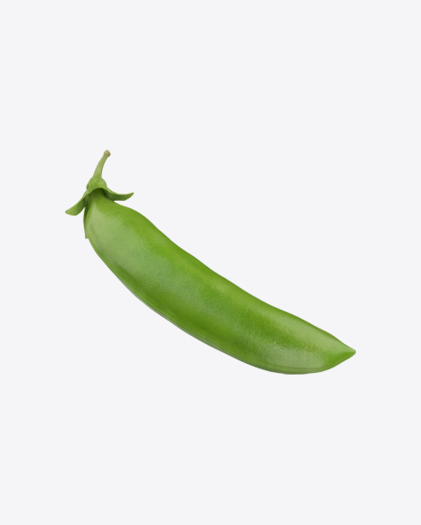 Pea Pod - Organ