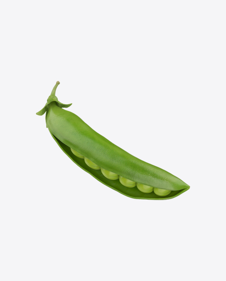 Half Opened Pea Pod - Organ
