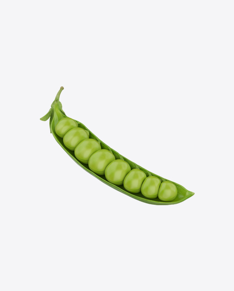 Opened Pea Pod - Seed pod