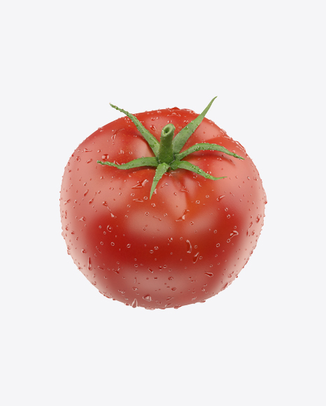 Tomato with Water Drops - Condensed