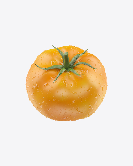 Yellow Tomato with Water Drops - Condensed