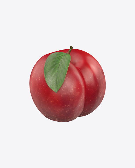 Plum with Leaf - Organ