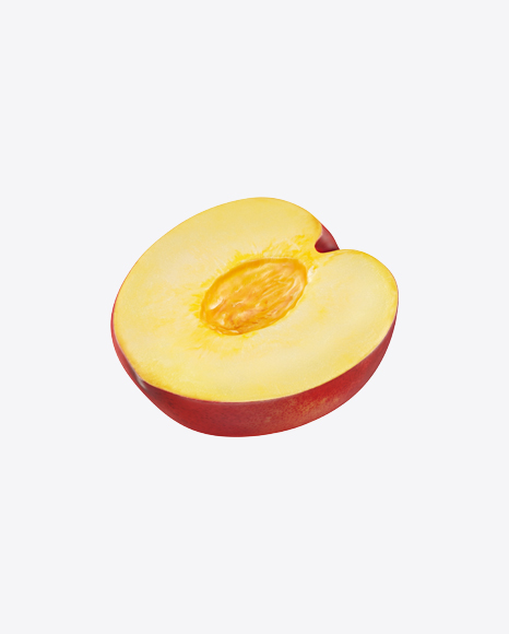 Half of Nectarine - Organ