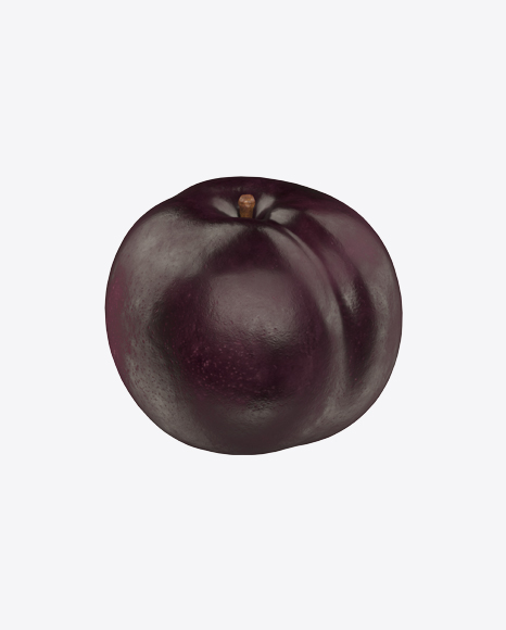 Black Plum - Organ