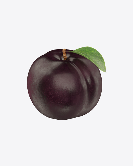 Black Plum with Leaf - Organ