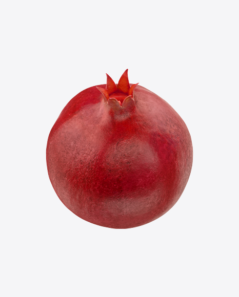 Pomegranate - Organ