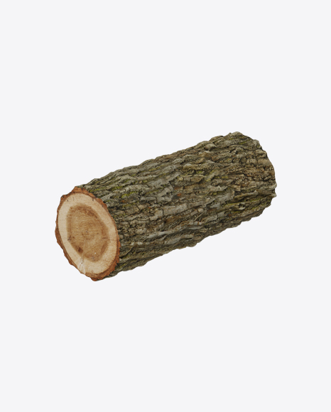 Oak Log - Organ