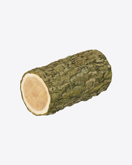 Pine Log - Forest