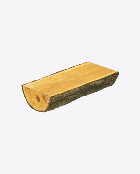 Maple Log - Forest