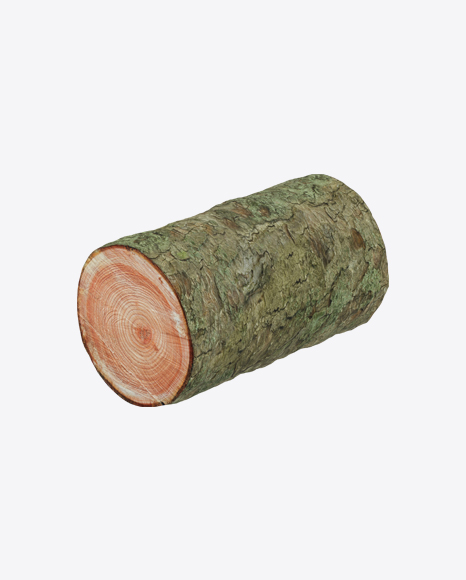 Larch Log - Forest