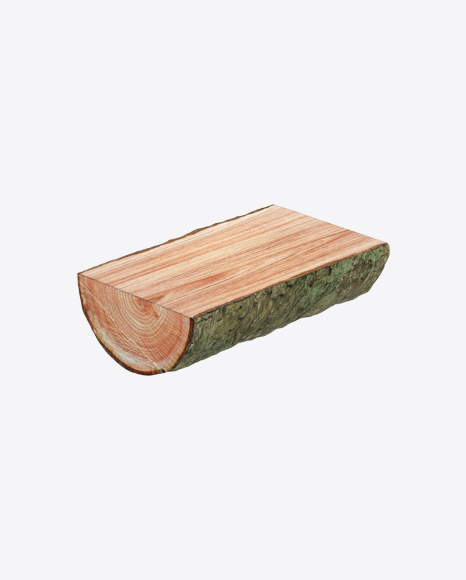 Larch Log - Forest