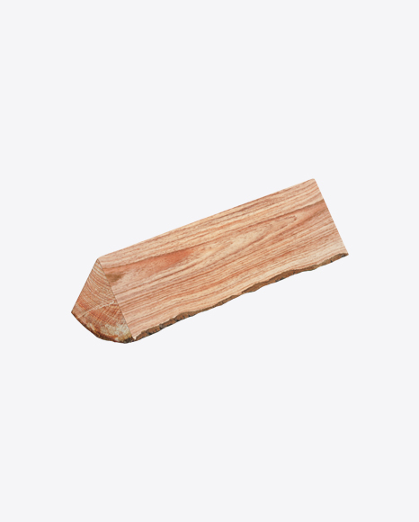 Larch Log - Forest