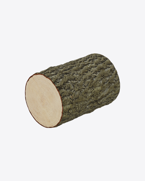 Walnut Log - Forest