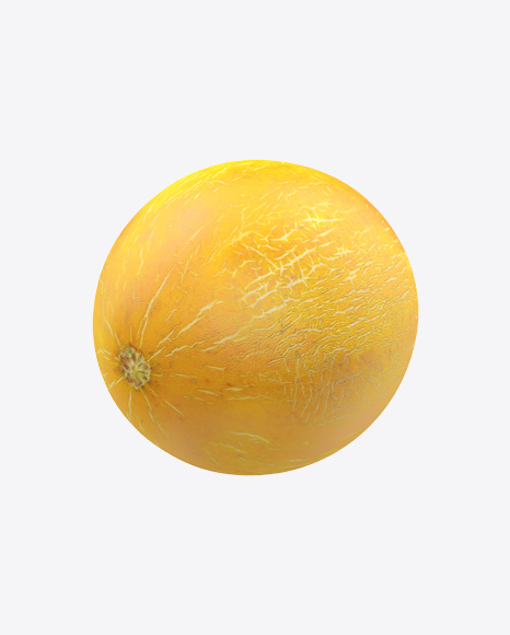 Melon - Golden