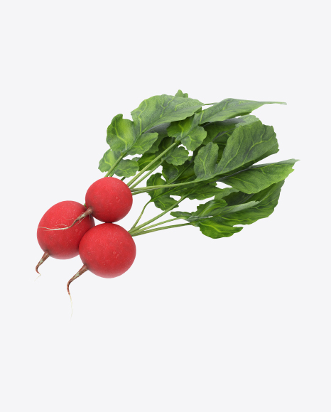 Bunch of Red Radishes - Radish