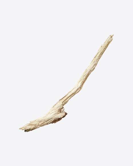 Wooden Snag - Logs