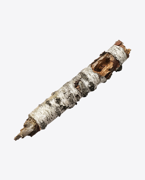 Wooden Snag - Logs