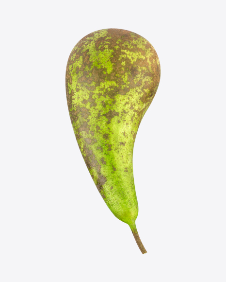 Conference Pear - Garden