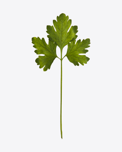 Parsley - Weed