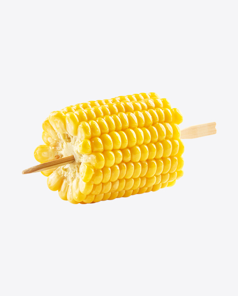 Corn Ear Slice on Stick - Cobs