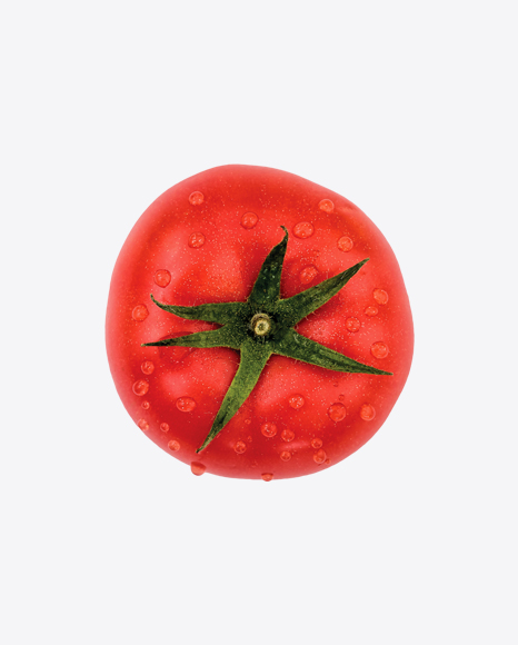 Tomato - One