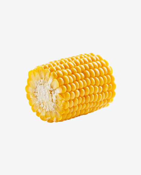 Corn Ear Slice - Cobs