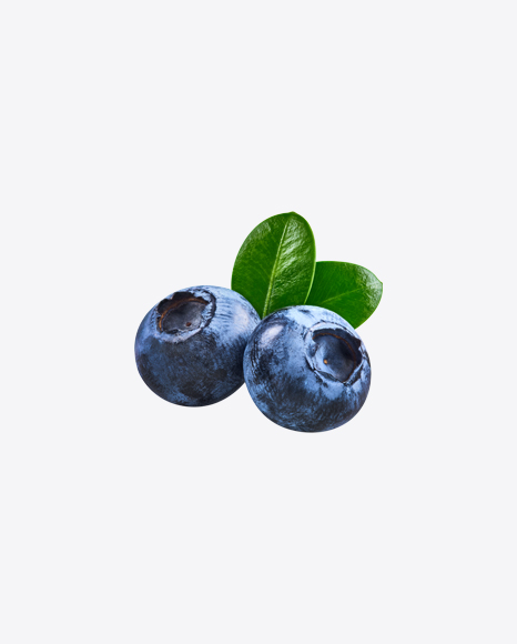 Blueberries w Leaves - Blueberries