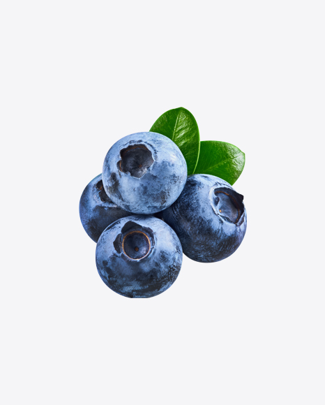 Blueberries w Leaves - Blueberries