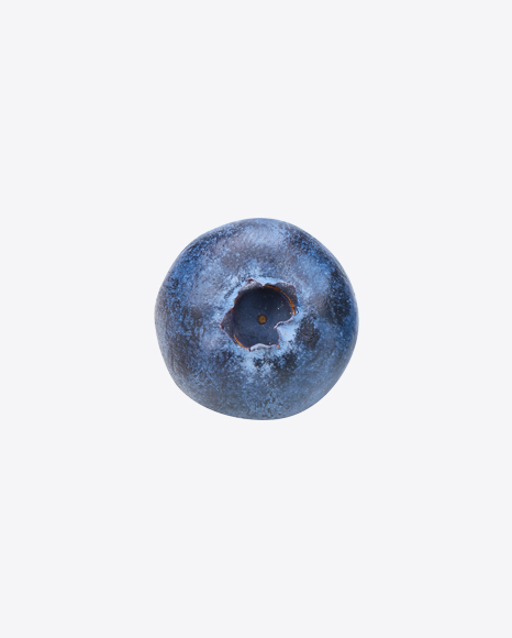 Blueberry - Blueberries