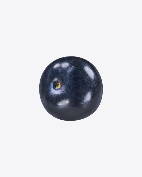 Blueberry - Blueberries